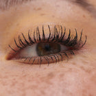 WonderCurl Volume, Curl & Lift Mascara