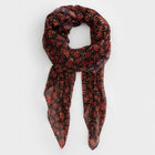 Astra Metallic Scarf